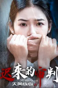 天网恢恢之迟来的审判