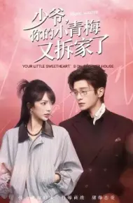 少爷，你的小青梅又拆家了