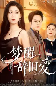 梦醒辞旧爱