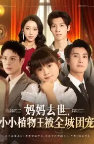 妈妈去世，小小植物王被全城团宠