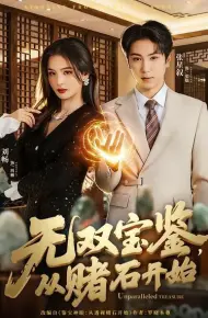 无双宝鉴，从赌石开始