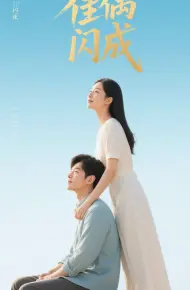 佳偶闪成(假婚真爱)