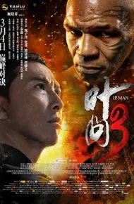 叶问3(国语版)