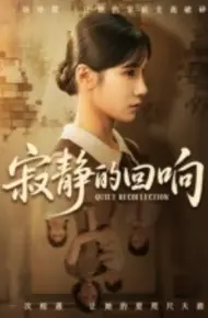 寂静的回响