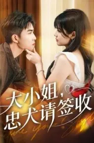 大小姐忠犬请签收