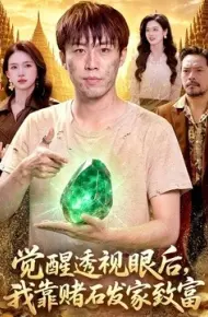 觉醒透视眼后,我靠赌石发家致富