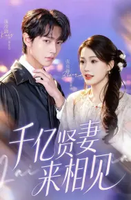 千亿贤妻来相见（钻石贤妻来相见）