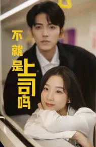 不就是上司吗