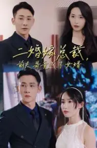 二婚嫁总裁前夫哥竟成了女婿