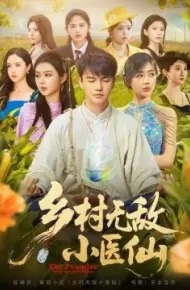 乡村无敌小医仙
