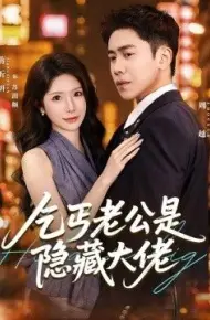 乞丐老公是隐藏大佬