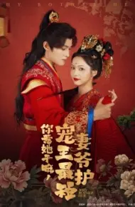 你惹她干嘛，宠妻王爷最护短
